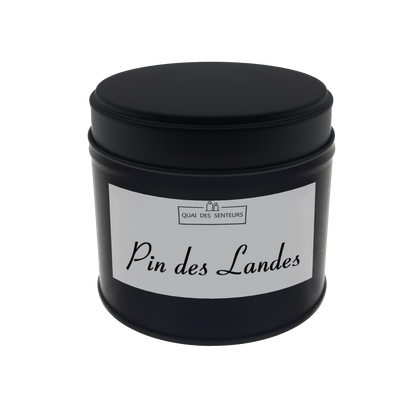 Bougie Tinny Pin des Landes