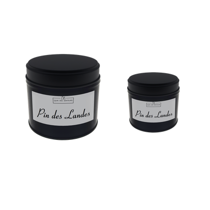 Bougie Tinny Pin des Landes
