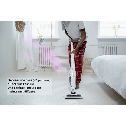 Poudre d'aspirateur parfum Pain d'épices